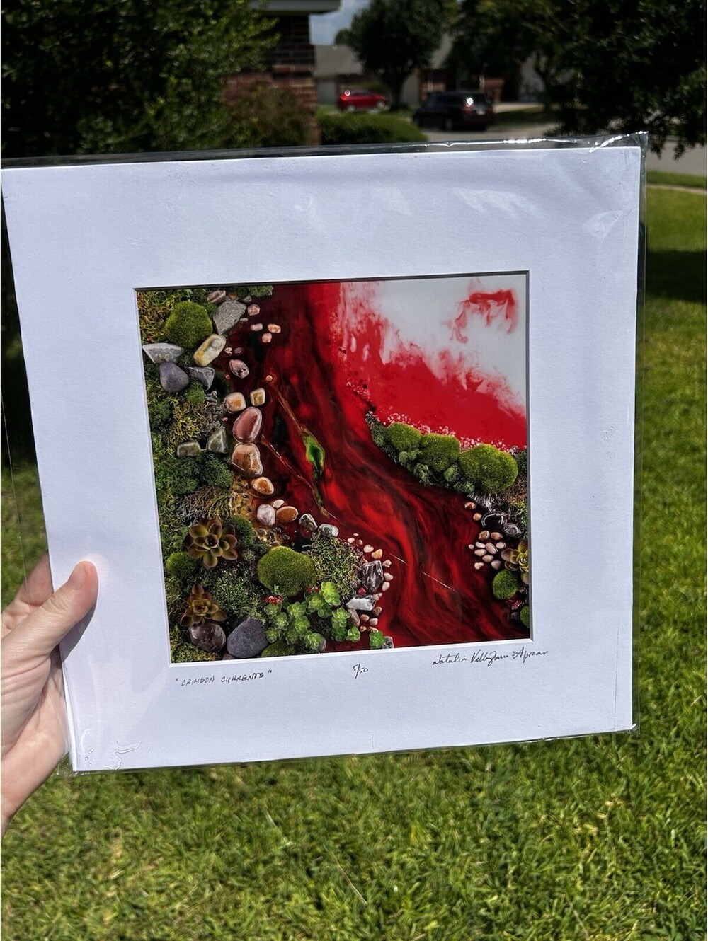 "Crimson Currents" Art Print Natalie Vellojin-Aprar Signed Numbered 7/50